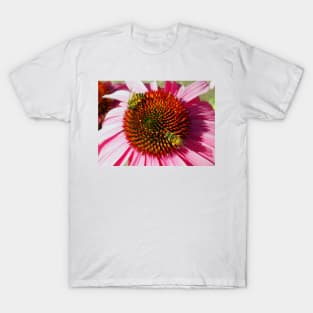 Honey Bees Macro on Echinacea Flower of Summer T-Shirt